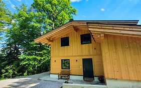 Das Haus Steger zu Stein